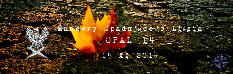 Manewry Opadającego Liścia OPAL'14